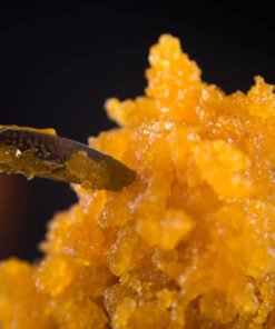 CONCENTRATES