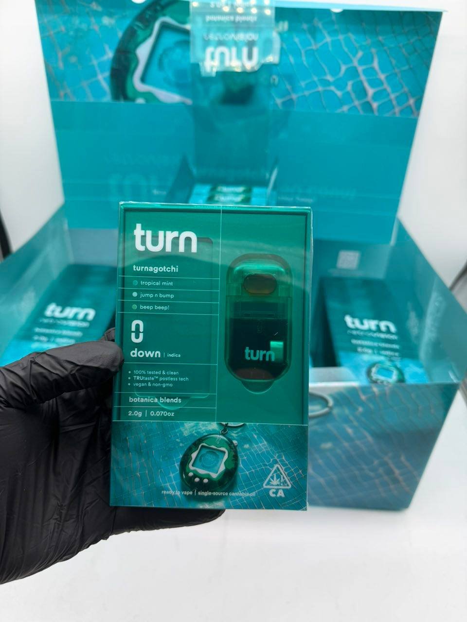 turns disposable,turn disposable,turn pen,turn 2g,turn vapes,turn dispos,turn vape pen,turn disposable vape,turns 2g,turn 2g dispo,turns dispos,turn thca disposable,2g turns,turn thc vape,turn cartridge,turns disposable 2g,2g turn,turns 2g disposable,turn 2gs,turn disposable flavors,turn disposable 2g,turn 2 gram disposable,turn pod pen,